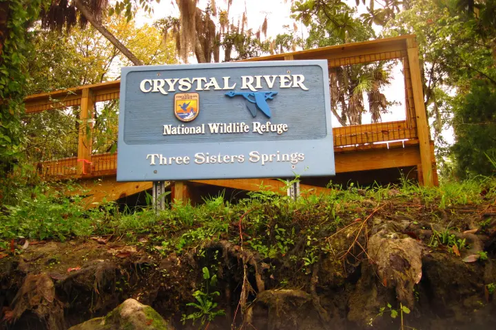 a sign in front of a forest