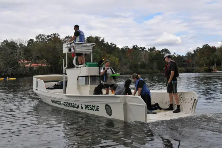 a group of people riding on the back of a boat in the water