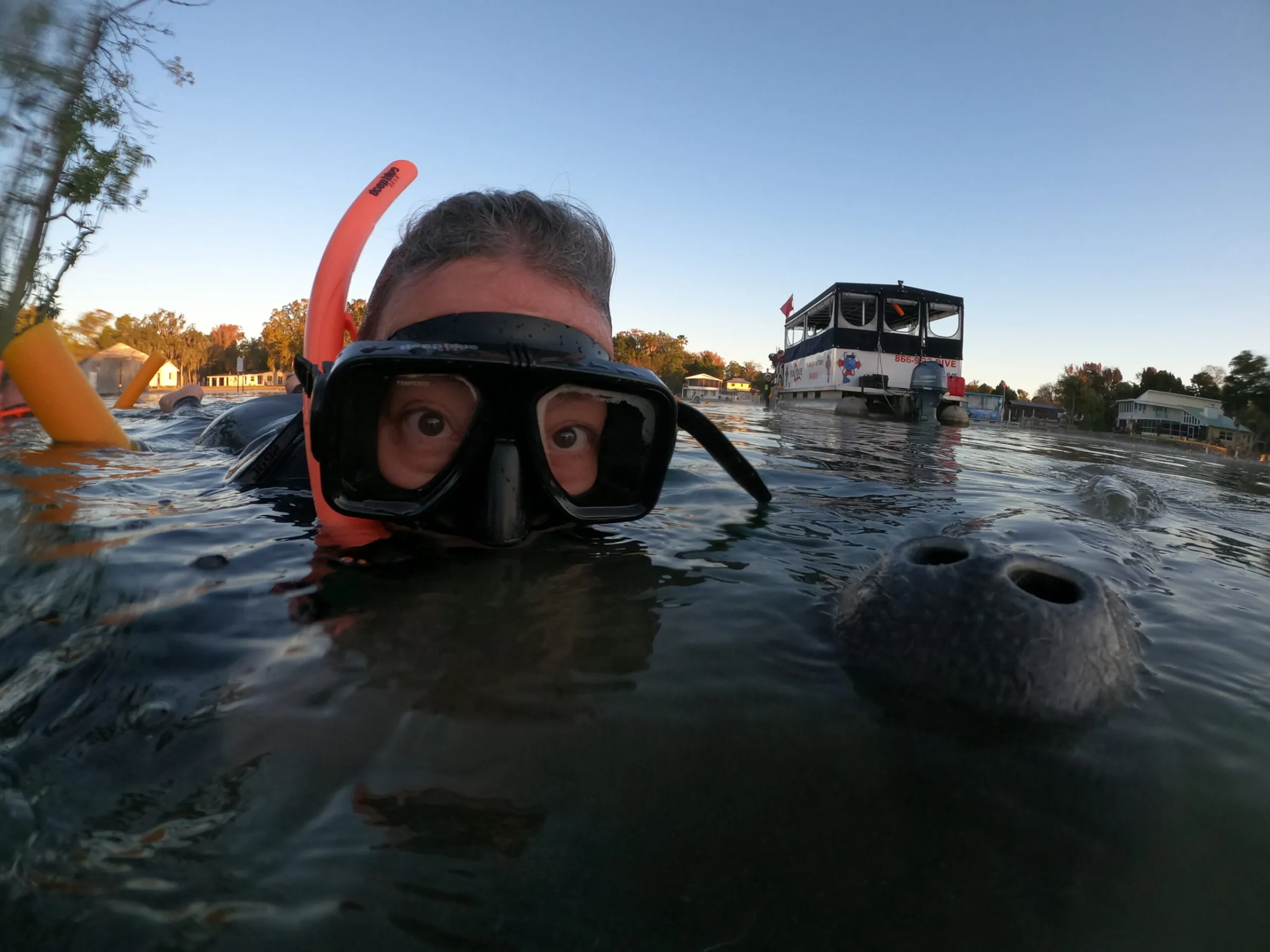A person face to face with a manatee.