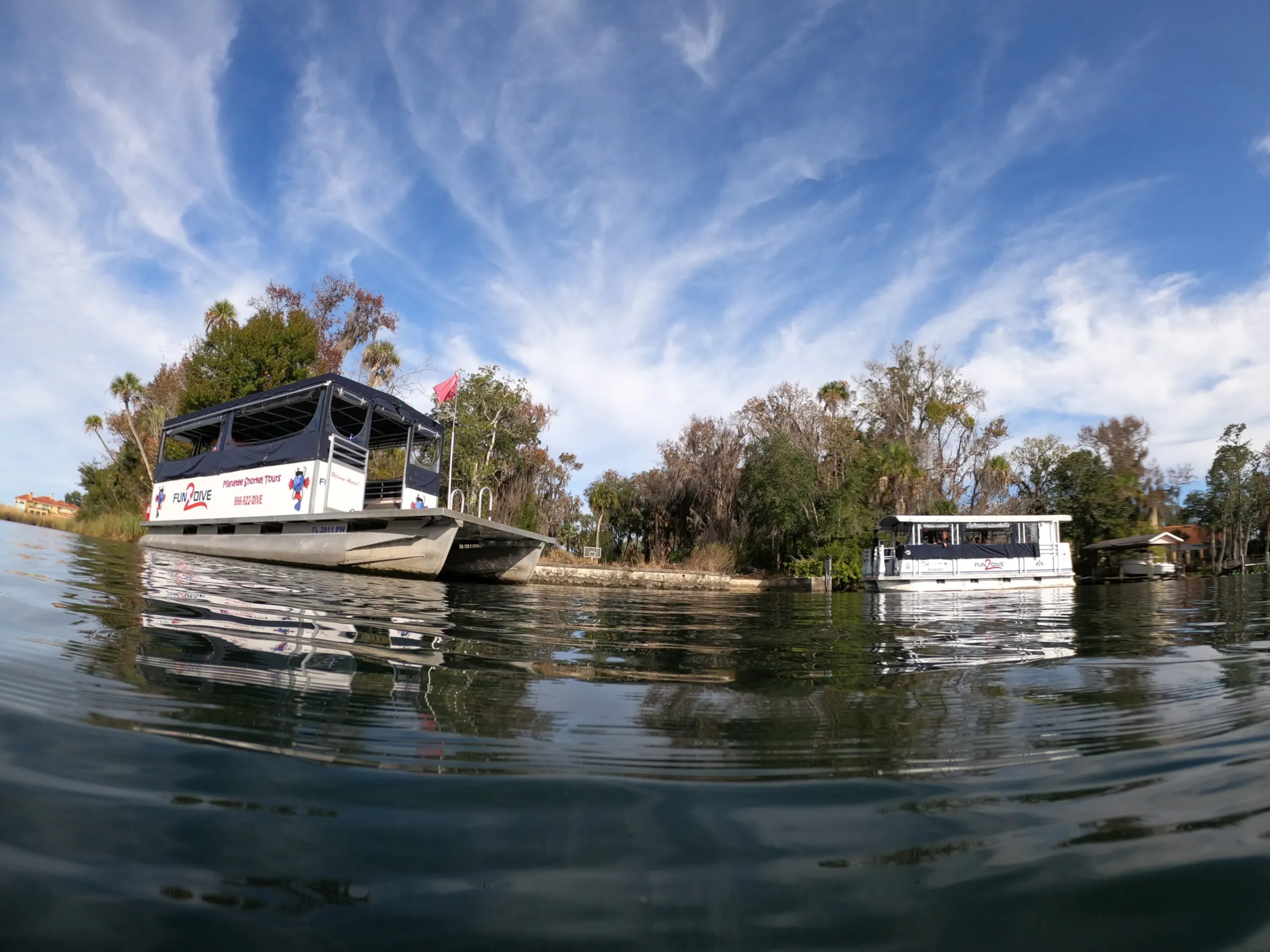 A couple of the Fun 2 Dive tour boats on location with manatees.