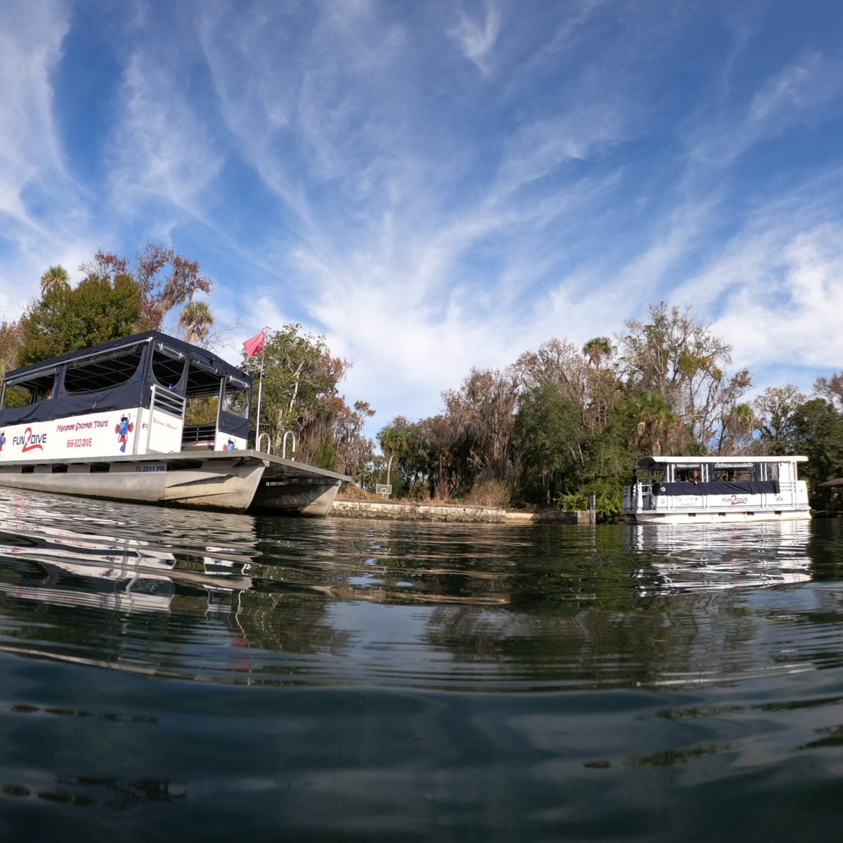 A couple of the Fun 2 Dive manatee tour boats.