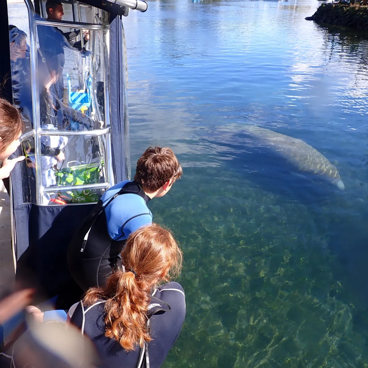 Kids watching a manatee swim by the boat.