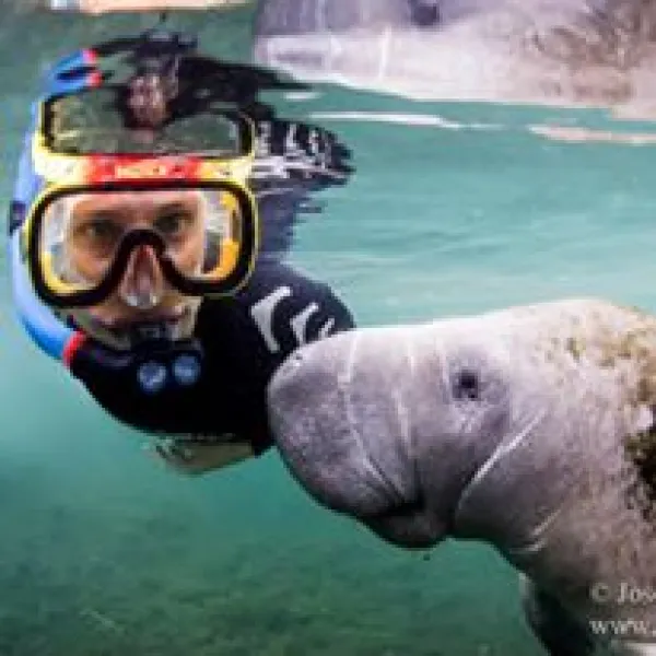 a person swimming in the water