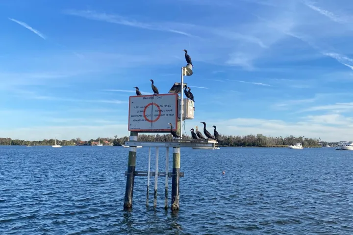 a boat on a body of water