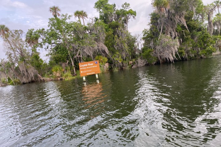 a body of water surrounded by trees