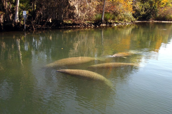 a pond next to a body of water